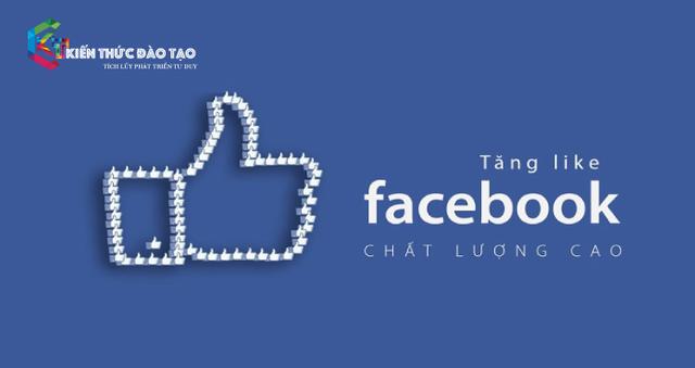 Cách tăng like Facebook nhanh nhất với 12 cách hoàn toàn miễn phí mang lại hiệu quả cao nhất 2022